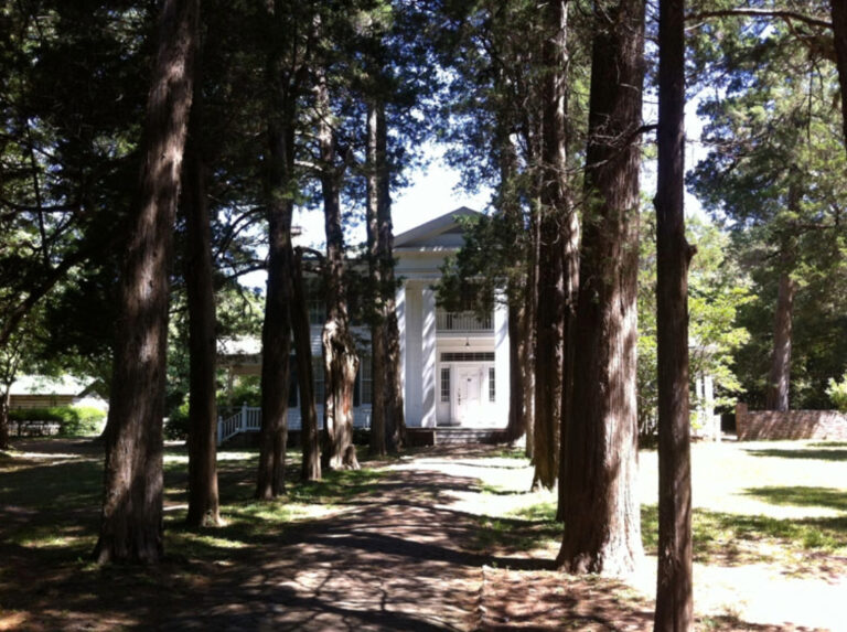 Rowan Oak, William Faulkner's home, viewed through a tree-lined path.