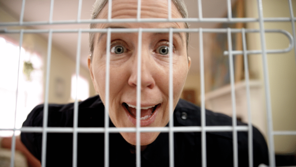 Woman with short gray hair looking through bird cage bars, close-up.