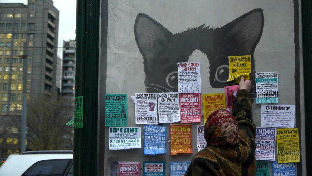 Flyers on a city bulletin board, including "SROCHNO SNIMEM" (urgently rent) and credit offers, with a cat poster in the background.
