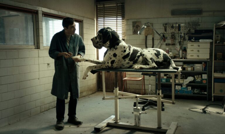 Dogman vet with a Great Dane on an examination table in a clinical setting.