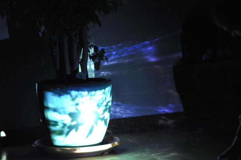 Potted plant with light patterns on pot and wall, creating a moody atmosphere.