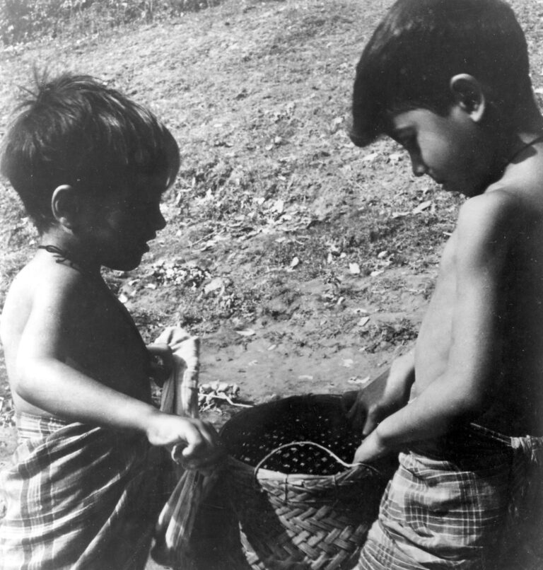 Two boys in lungis examine berries in a basket.