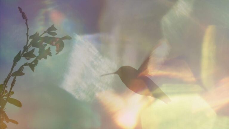 Hummingbird flying near a flower, bathed in soft, colorful light.