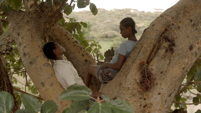 Two people sit in a fig tree, one leaning back, the other looking at them