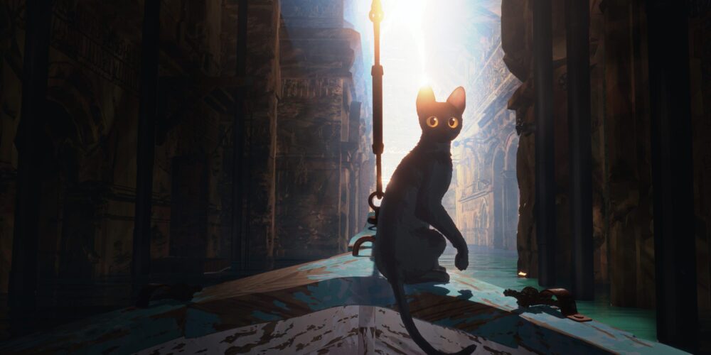 Cat in ancient ruins, bathed in light. Flow.