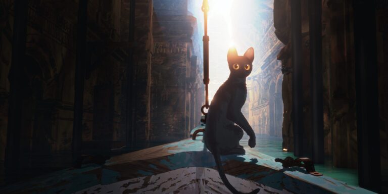 Cat in ancient ruins, bathed in light. Flow.