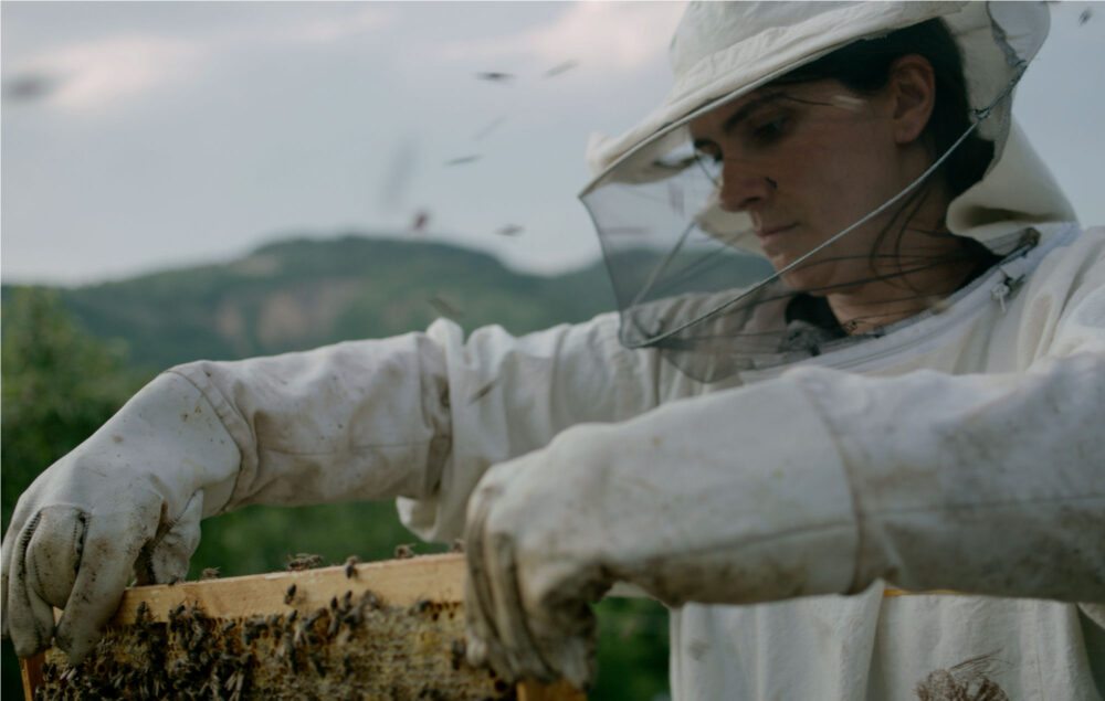 Beekeeper tending to a honeycomb frame in "Hive