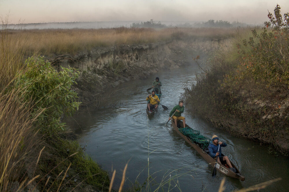 Okavango Delta: Men paddling canoes through a narrow river channel.