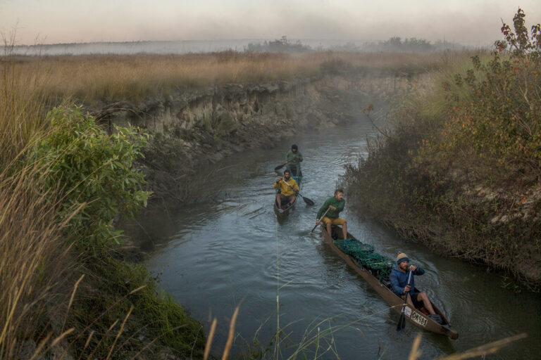 Okavango Delta: Men paddling canoes through a narrow river channel.