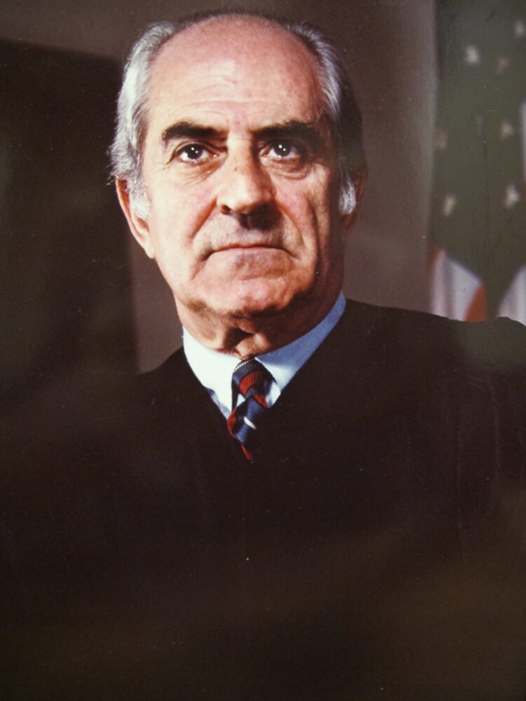 Portrait of a judge in robes with an American flag in the background. The Judge – Character, Cases, Courage.
