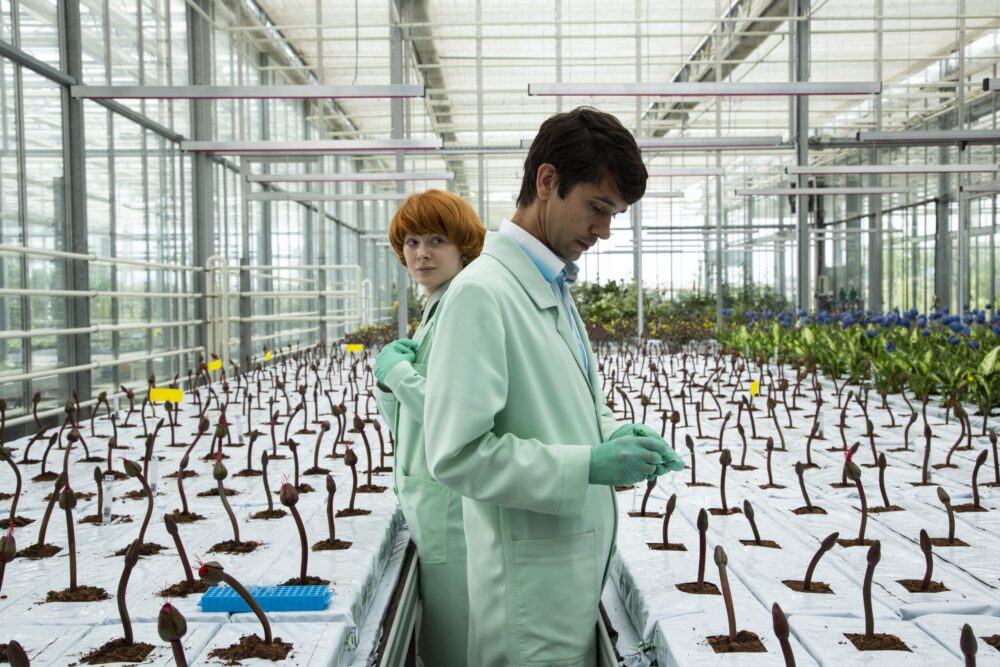 Scientists examine plants in a greenhouse, referencing the film Little Joe.