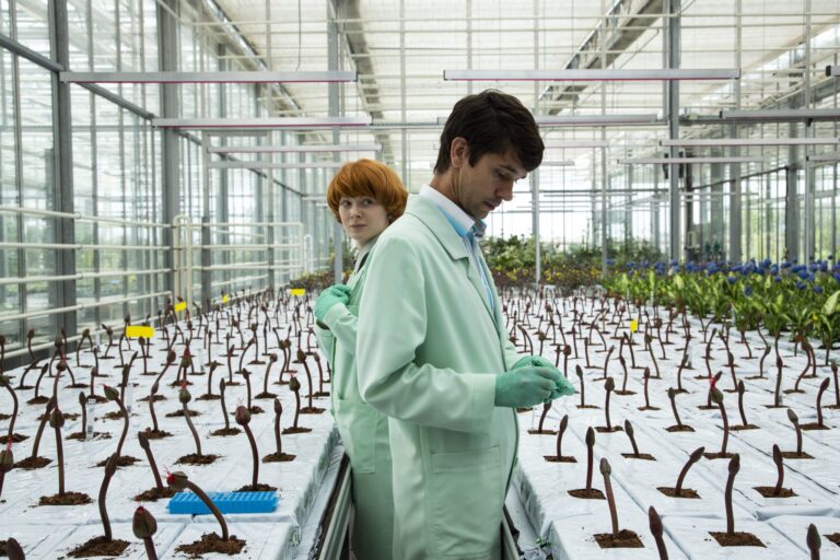 Scientists examine plants in a greenhouse, referencing the film Little Joe.