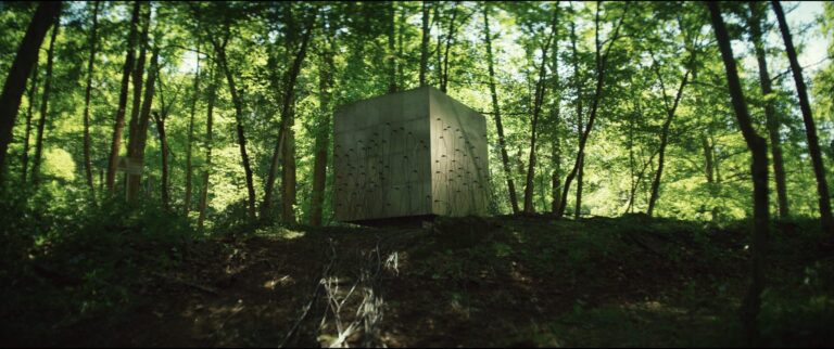 Abstract cube structure in a lush green forest, possibly related to the film Lapsis.