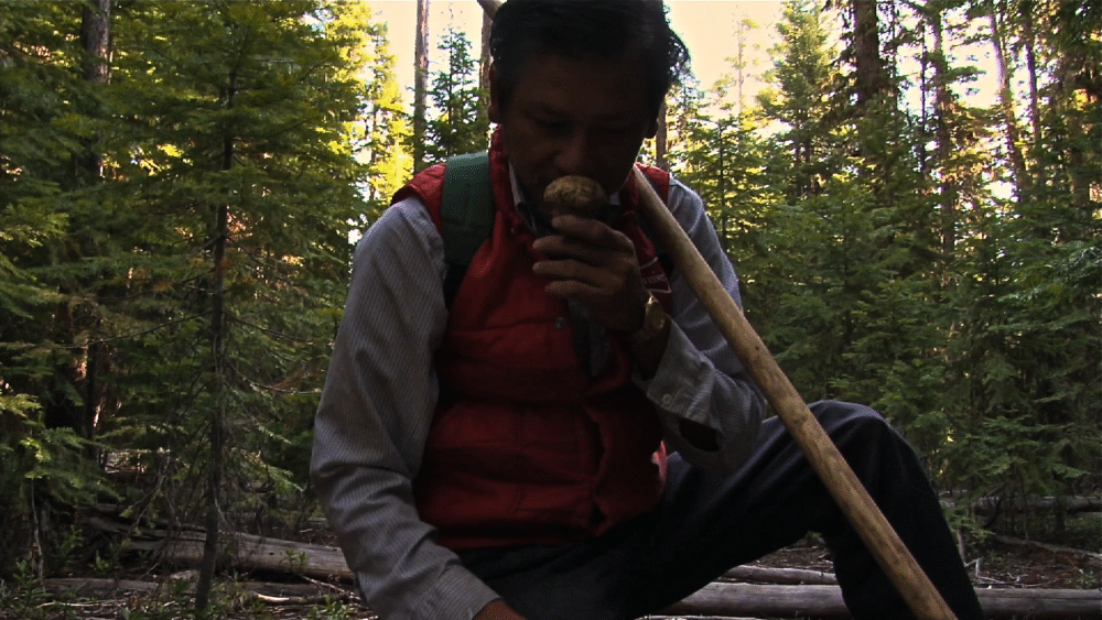 Man in forest smelling a truffle, possibly from "The Last Season"