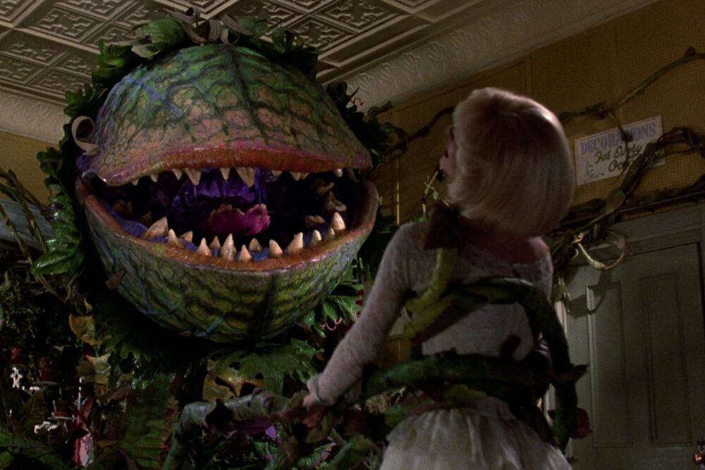 Audrey faces Audrey II in Little Shop of Horrors, the giant plant with a menacing open mouth and sharp teeth.