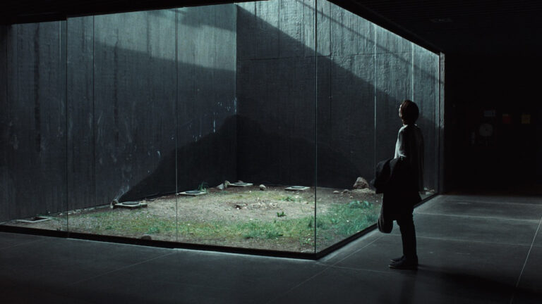 Person viewing a glass-enclosed garden.