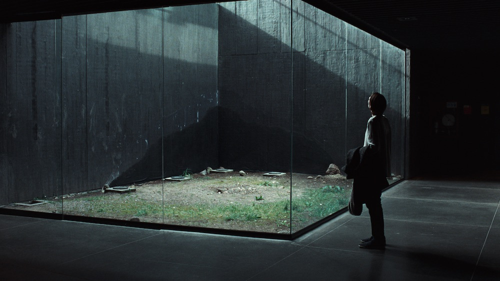 Person viewing a glass-enclosed garden.