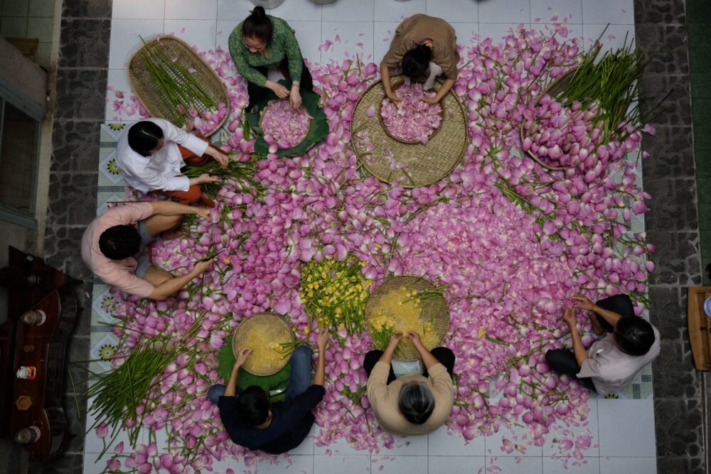 People arranging pink lotus flowers on a tiled floor, preparing for Monsoon season.