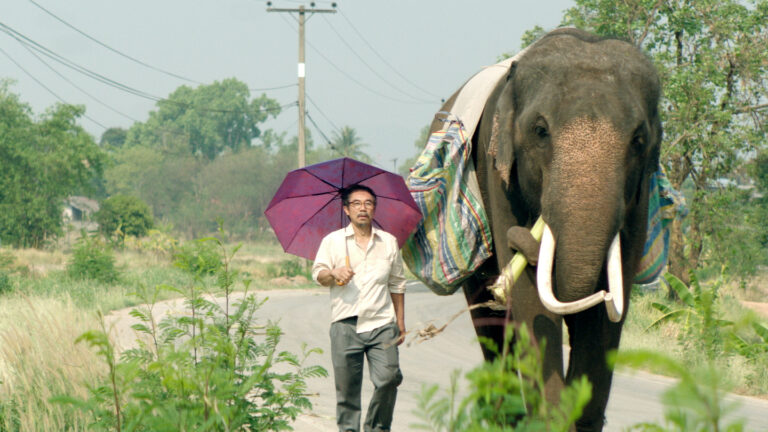 Man with umbrella walking with an elephant.