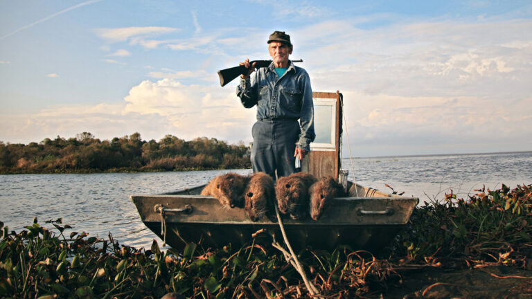 Louisiana trapper with nutria catch on boat