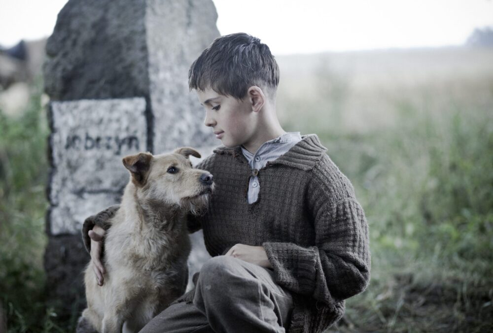 Boy hugs dog near "Jebczyn" stone. A still from "Run Boy Run"