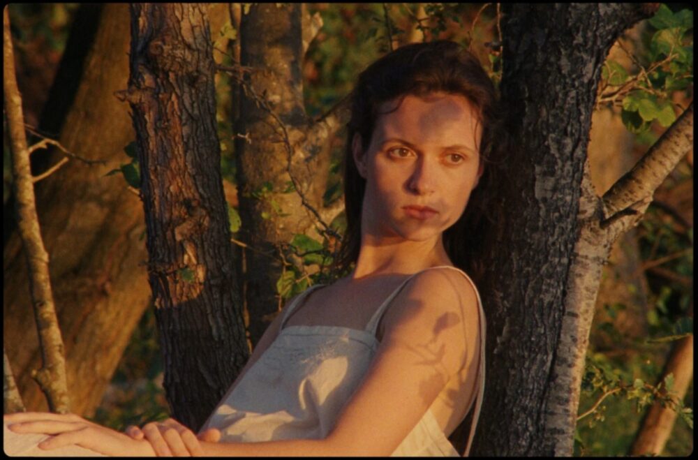 Woman in white dress amongst trees, bathed in golden light.