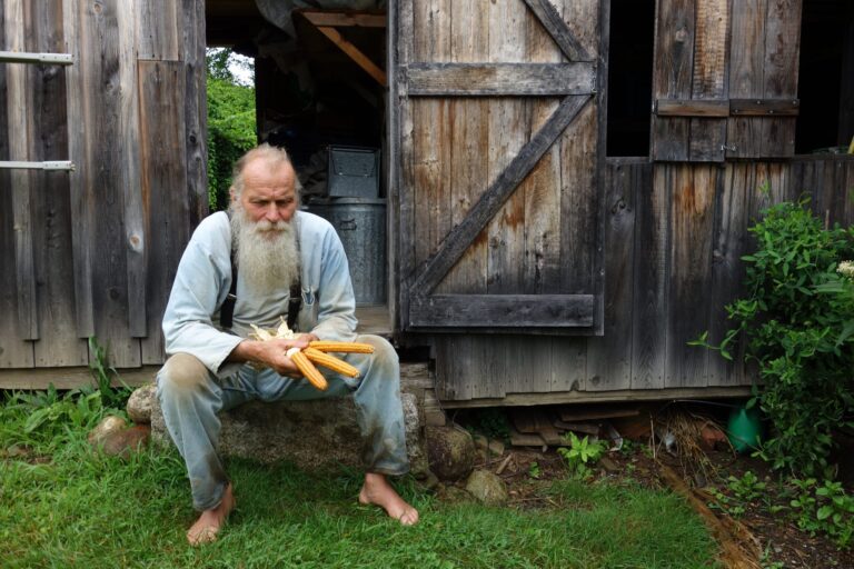 Elderly farmer with corn cobs sits outside rustic barn.