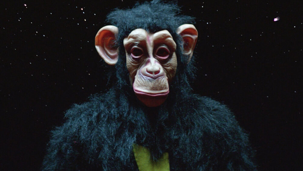 Creepy chimpanzee mask and furry costume against a black background.