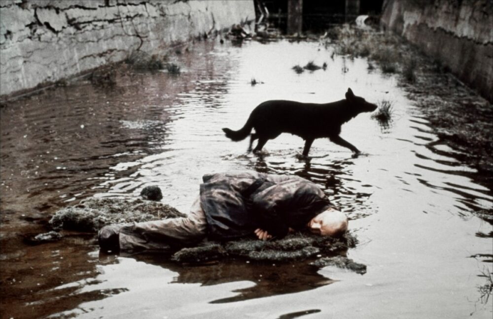 Man lying on moss in water, a dog walks by.