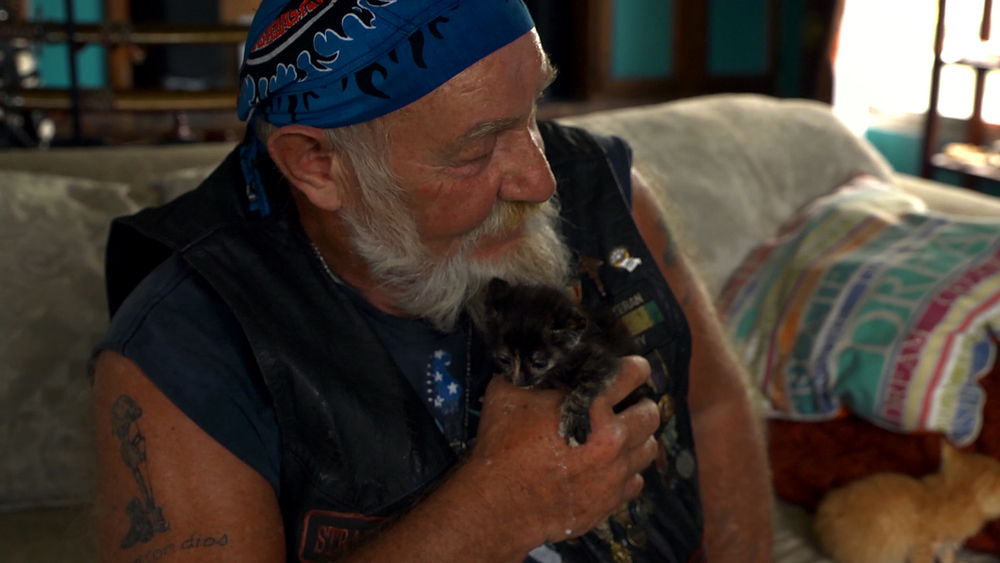 Biker with a bandana holding a tiny kitten. Another kitten is visible on the couch.
