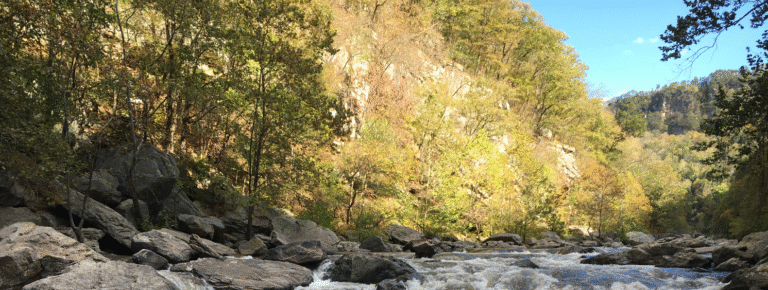Rapids flow through a rocky gorge with fall foliage.