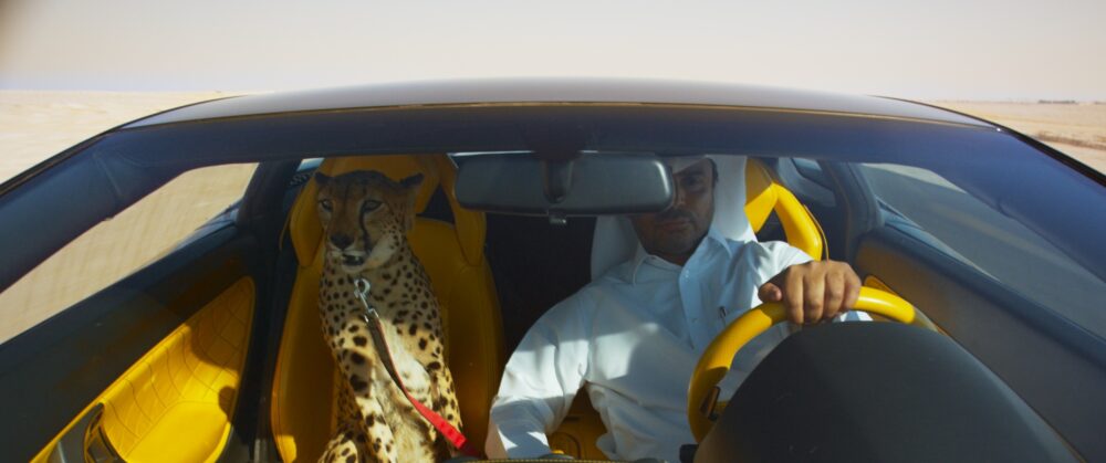 Man driving a luxury car with a cheetah in the passenger seat in desert landscape.
