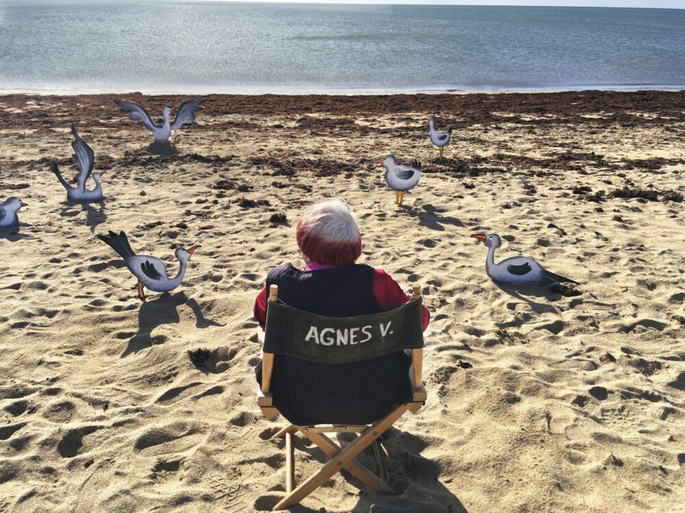 Agnès V. chair on a beach surrounded by seagull cutouts.