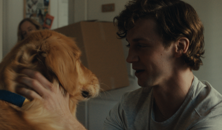 Man petting golden retriever, moving boxes in background. Dog may feel lonely during move.